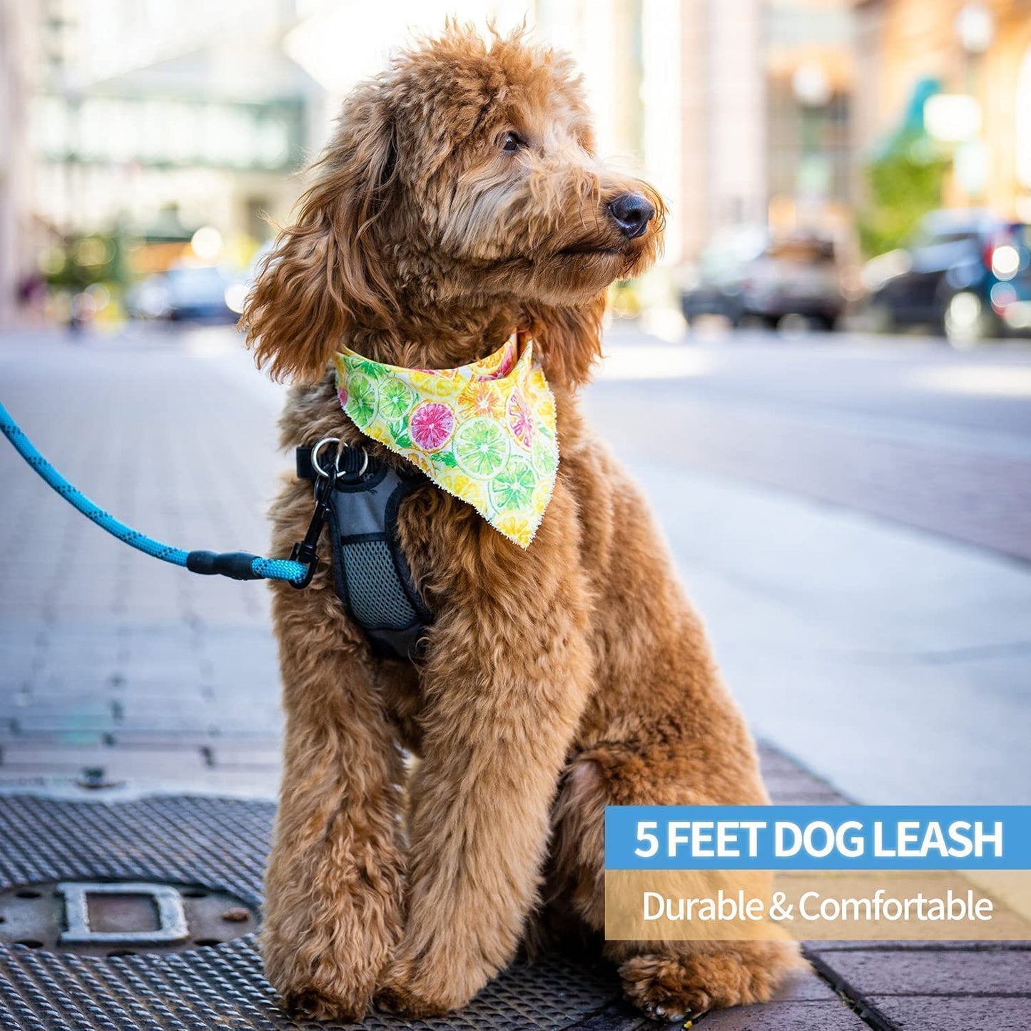 Reflective Rope Dog Leash with Soft Padded Handle